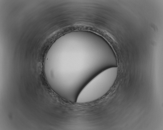 X0000114520821200910190948