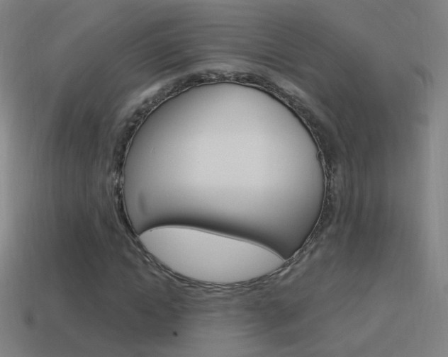 X0000114520822200910190948