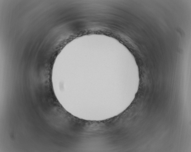 X0000114520824200910190948