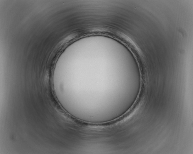 X0000114520825200910190948