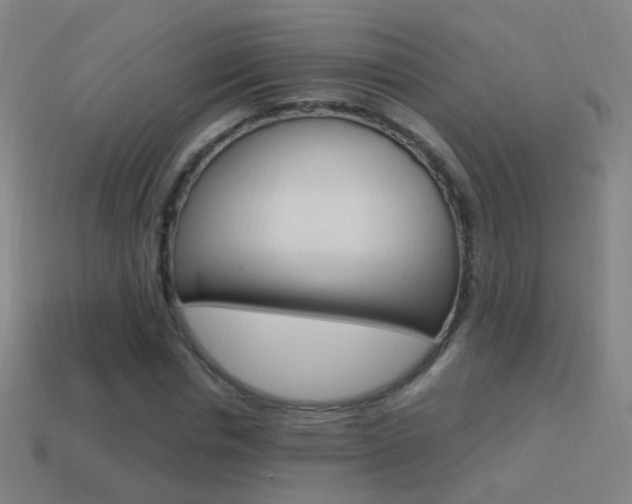 X0000114520826200910190948