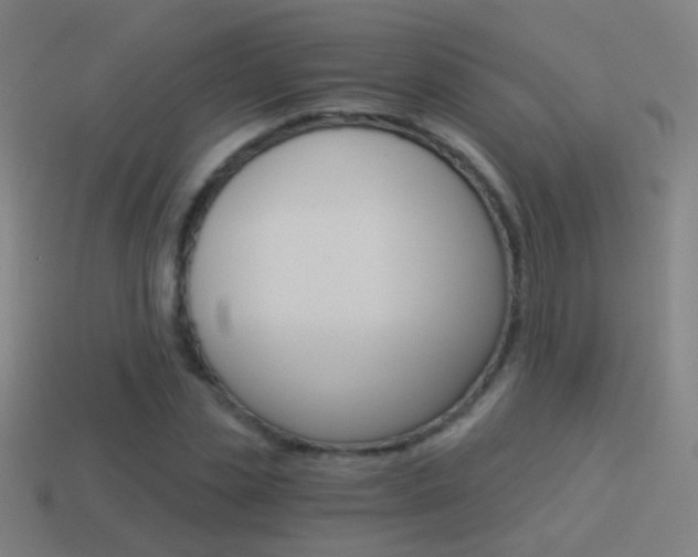 X0000114520829200910190948