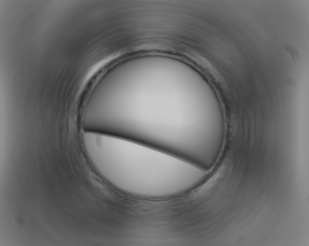 X0000114520830200910190948