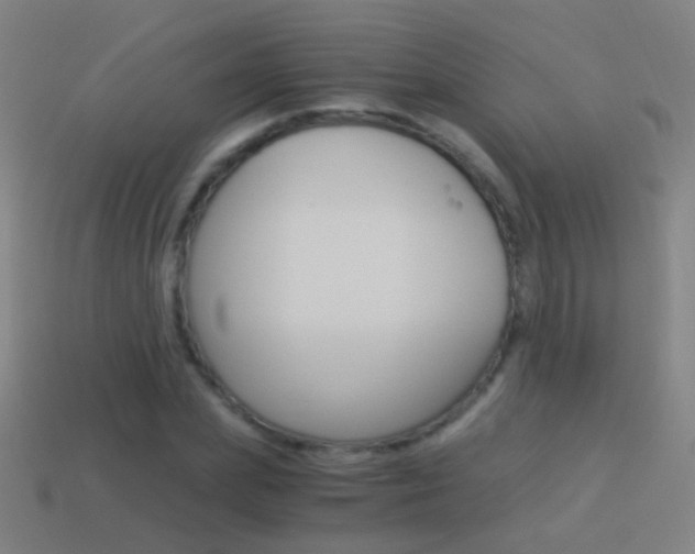 X0000114520831200910190948