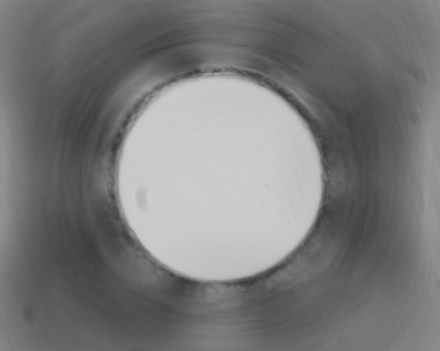 X0000114520832200910190948