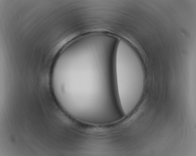 X0000114520834200910190948