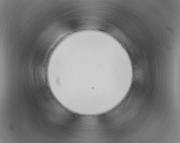 X0000114520836200910190948