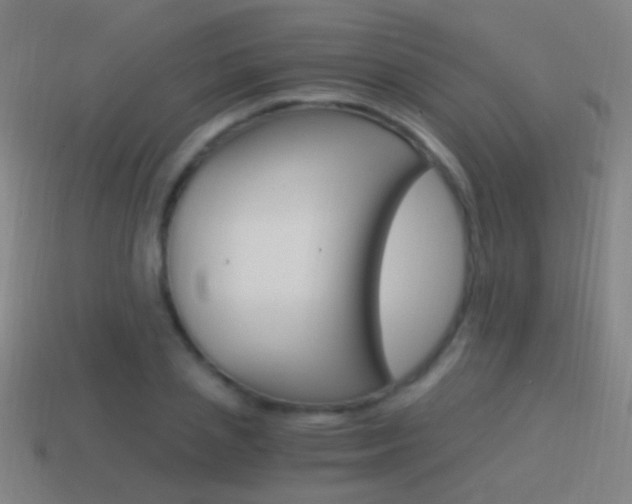 X0000114520837200910190948