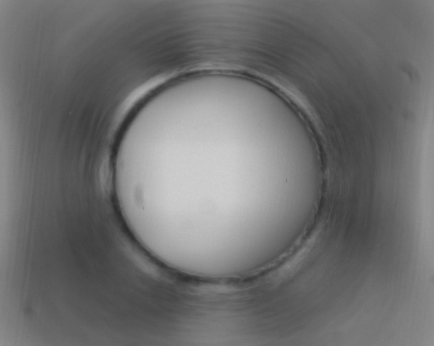 X0000114520838200910190948