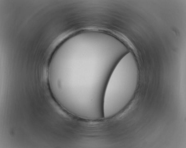 X0000114520839200910190948