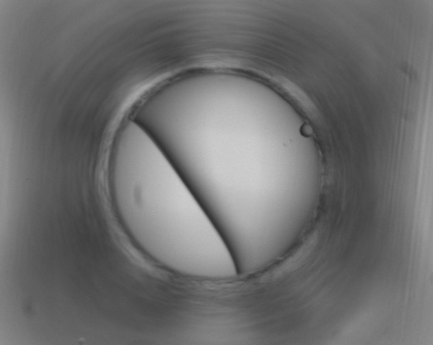 X0000114520840200910190948