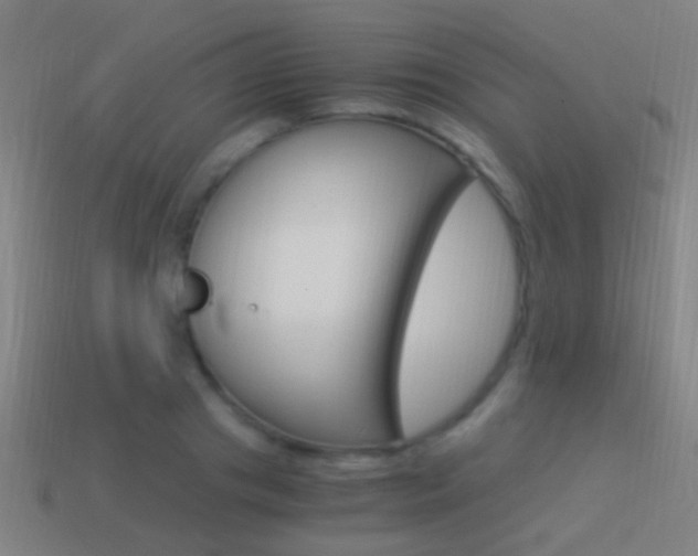 X0000114520841200910190948