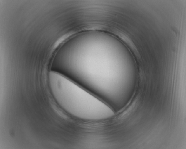 X0000114520842200910190948