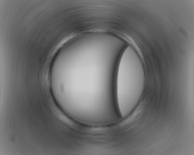 X0000114520843200910190948