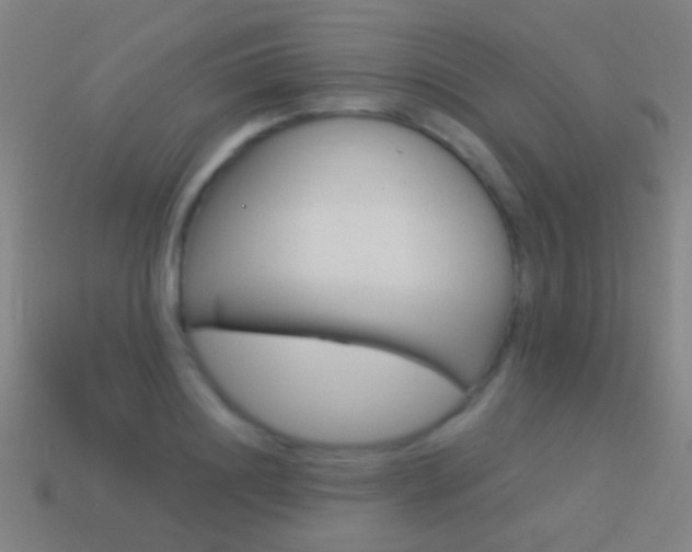 X0000114520844200910190948
