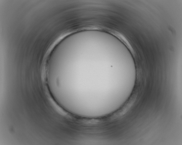 X0000114520851200910190948