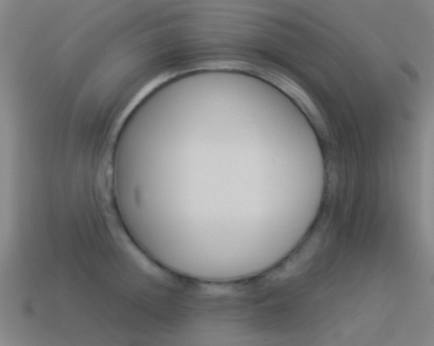 X0000114520852200910190948