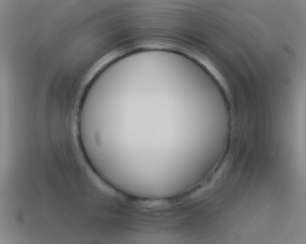 X0000114520853200910190948