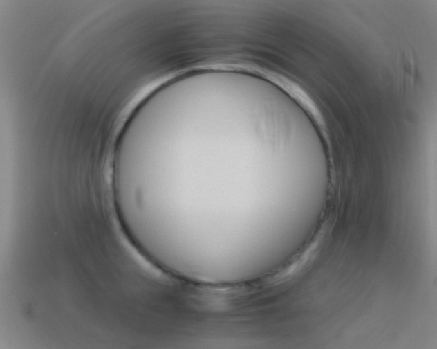 X0000114520855200910190948