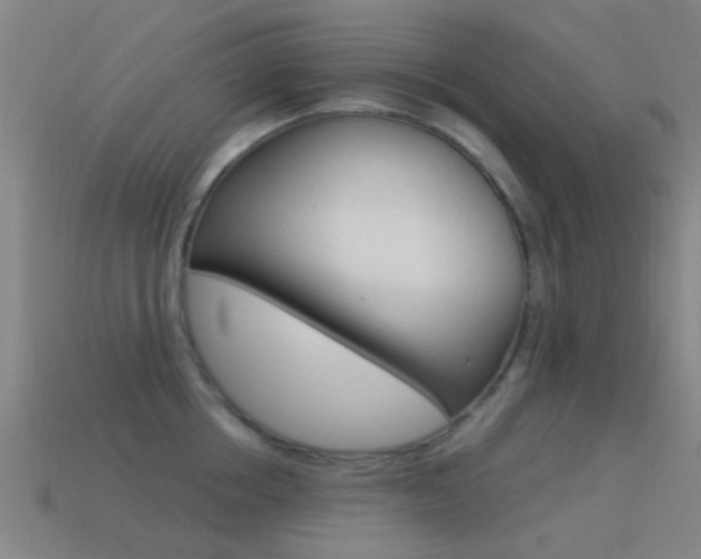 X0000114520858200910190948