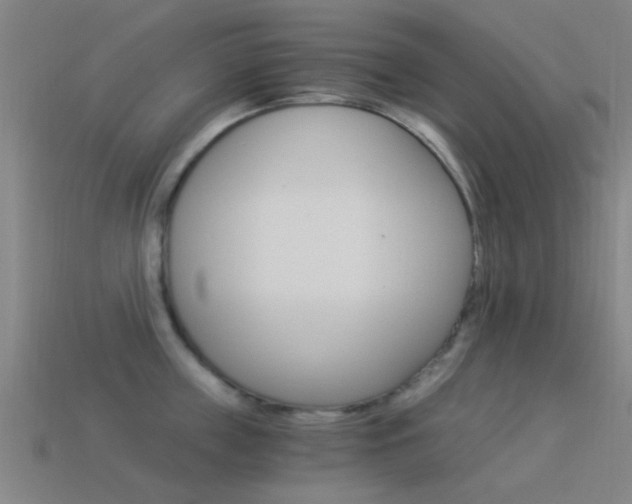 X0000114520859200910190948