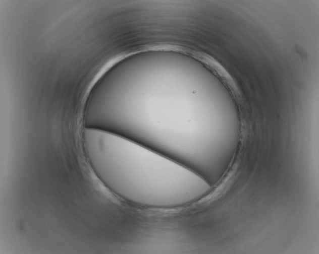 X0000114520860200910190948