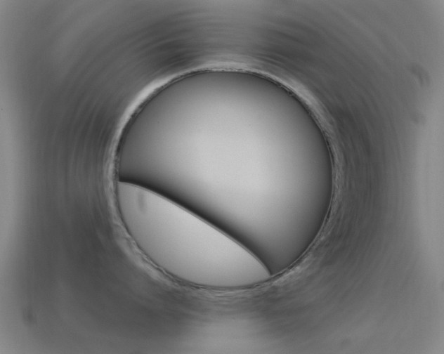 X0000114520864200910190948