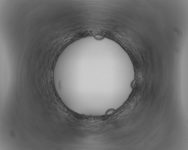 X0000114520865200910190948