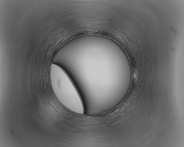 X0000114520867200910190948