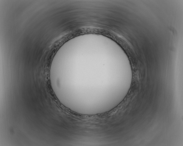 X0000114520870200910190948