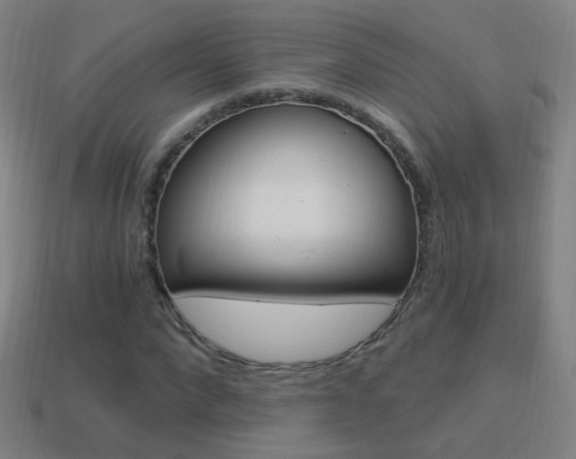 X0000114520872200910190948