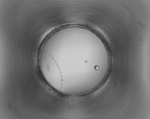 X0000114520875200910190948