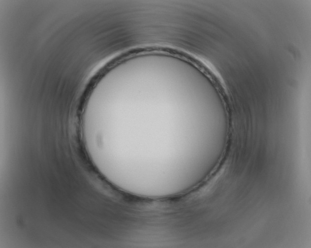 X0000114520879200910190947