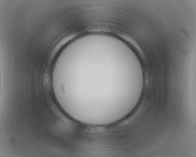 X0000114520882200910190947