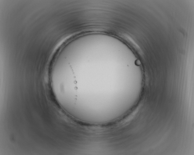 X0000114520883200910190947