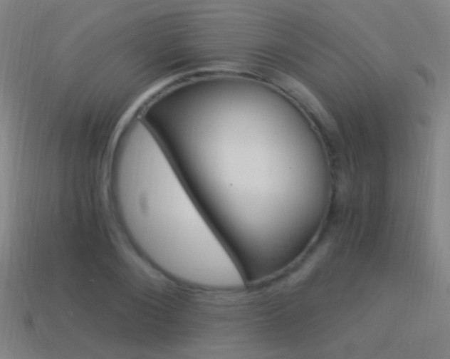 X0000114520884200910190947