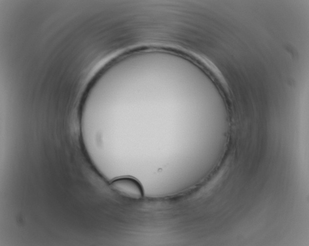 X0000114520887200910190947