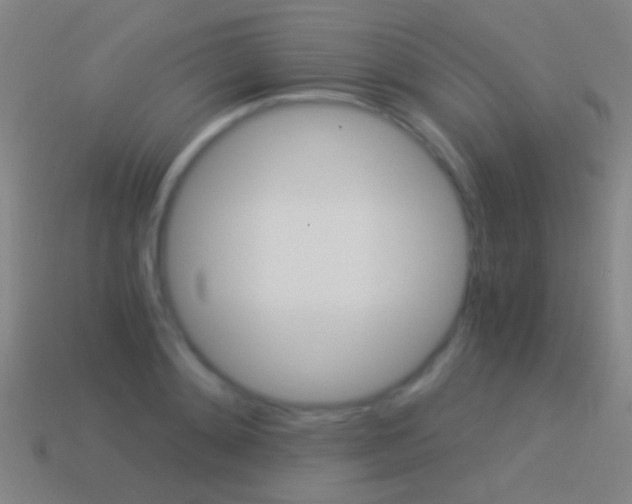 X0000114520892200910190947