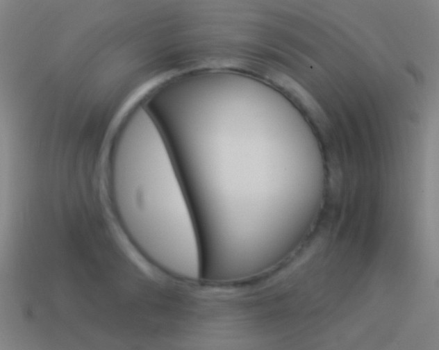 X0000114520894200910190947