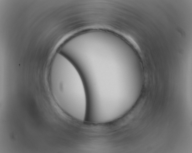 X0000114520895200910190947