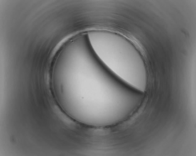 X0000114520896200910190947
