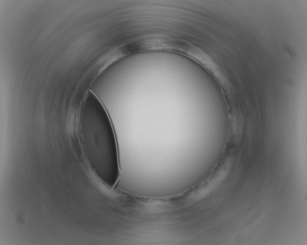 X0000114520897200910190947