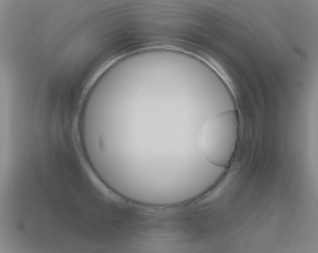 X0000114520901200910190947