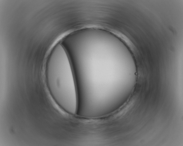 X0000114520902200910190947