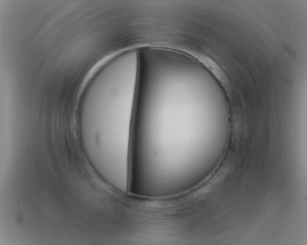 X0000114520904200910190947