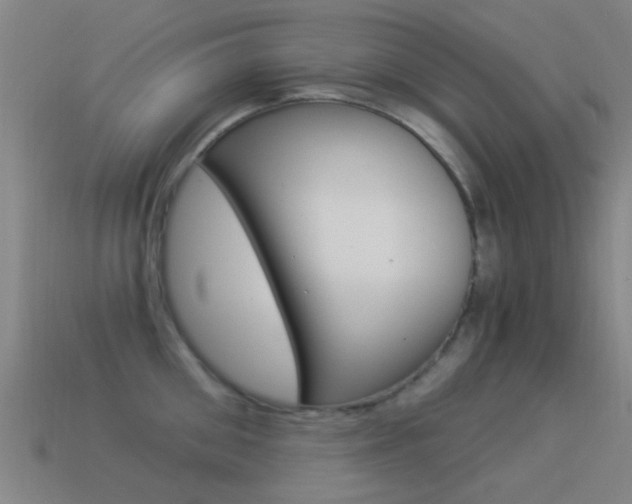 X0000114520906200910190947