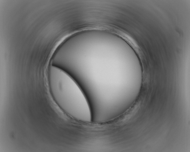 X0000114520907200910190947