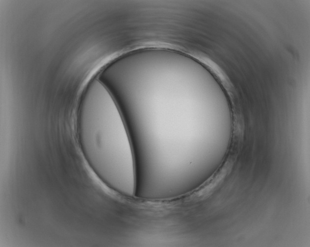 X0000114520910200910190947