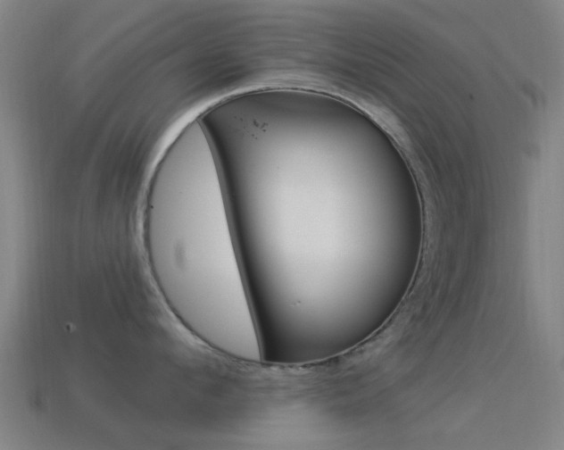 X0000114520912200910190947