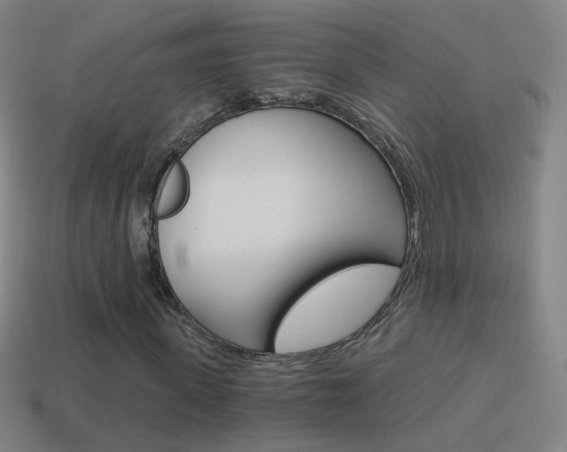 X0000114520915200910190946